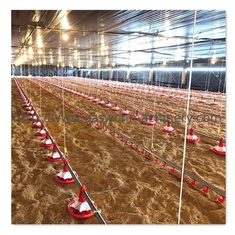 Πλήρης αυτόματος ελεγκτής κλουβιών T607 κοτόπουλου σχαρών εξοπλισμού φαρμάτων πουλερικών